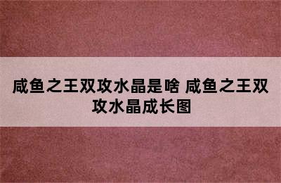 咸鱼之王双攻水晶是啥 咸鱼之王双攻水晶成长图